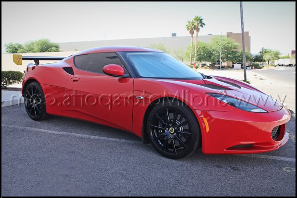 Lotus